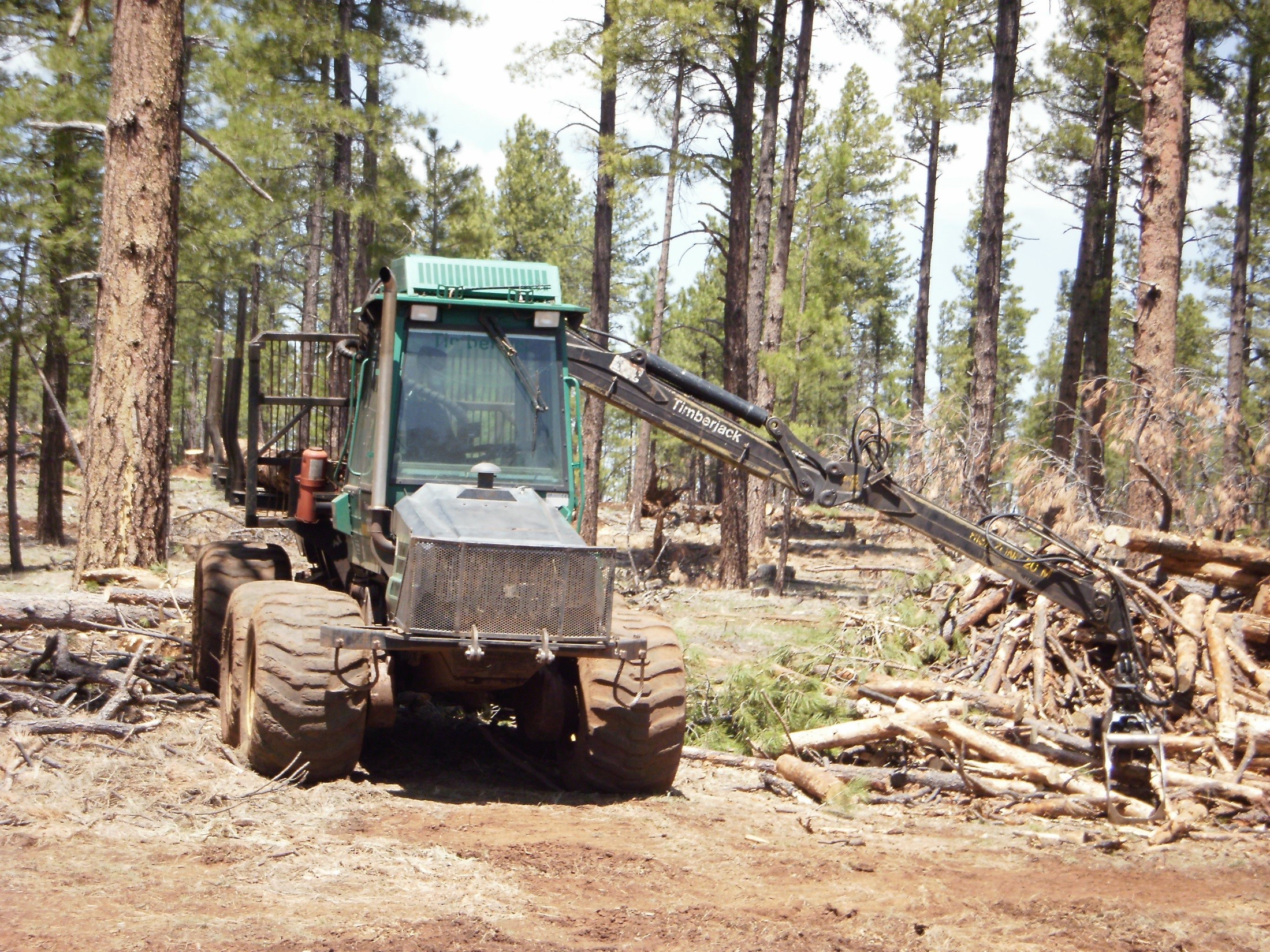 Forest debris to fuel Forest debris to fuel